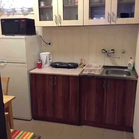 Apartament Munkacsy Belvarosi *